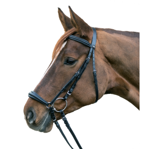 Bridle Hannover