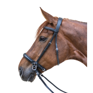 Bitless Bridle