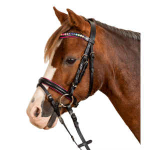 Pinky Bridle