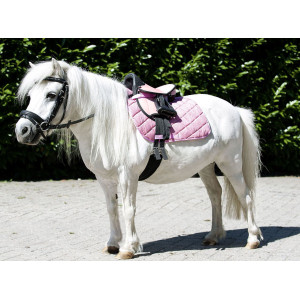 Shetland pony saddle set