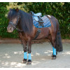 Shetland pony saddle set