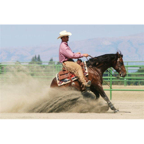 Relaxed riding - Western style