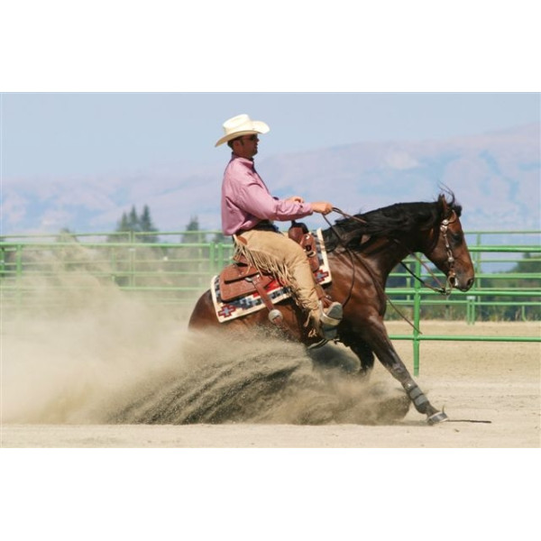 Relaxed riding - Western style