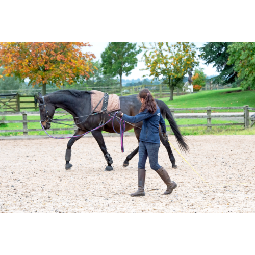LUNGING & GROUNDWORK