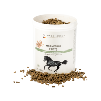 Waldhausen Magnesium Forte – Συμπλήρωμα Μαγνησίου για Άλογα