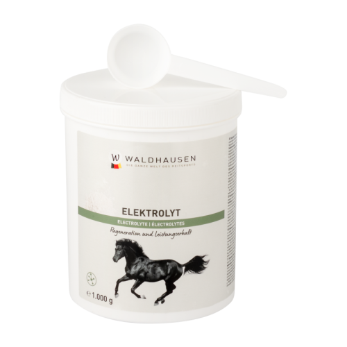 👉 Waldhausen Elektrolyt – Συμπλήρωμα Ηλεκτρολυτών για Άλογα