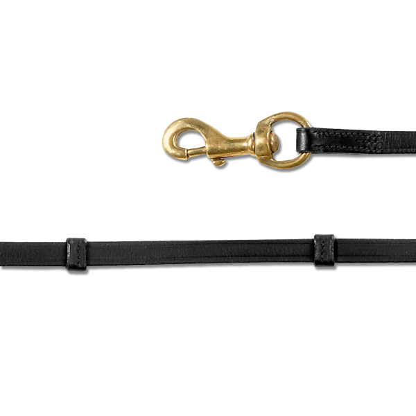 Reins with Carabiners
